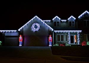 ) noted that between 2007-2011 holiday lighting and decorative lights ...