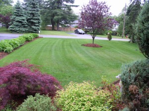 landscaping_services copy